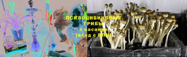 spice Белоозёрский