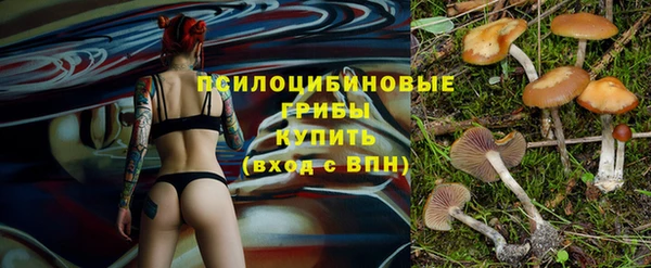 таблы Белокуриха