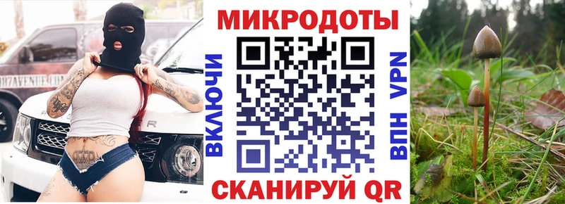 Псилоцибиновые грибы мицелий Бирюч